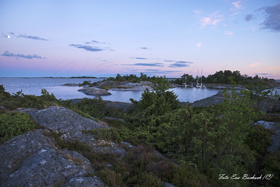 Foto av Eva Bucksch